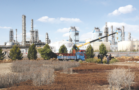 飞球直播平台界面